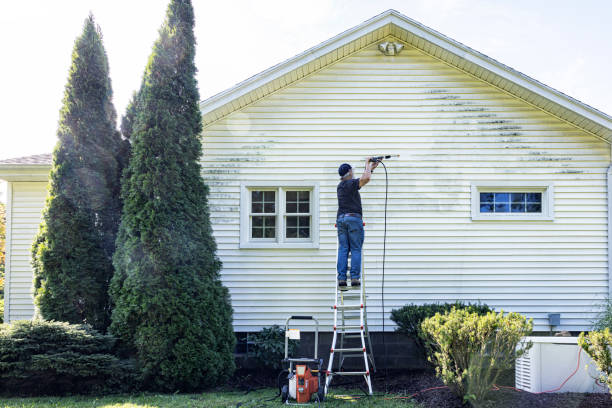 Best Building Exterior Washing  in North Braddock, PA